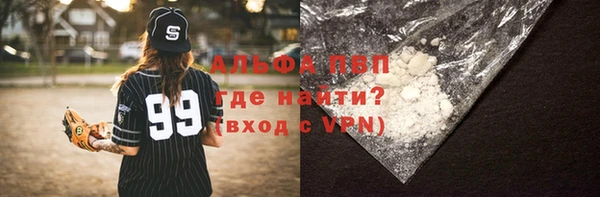 прущие грибы Богородицк
