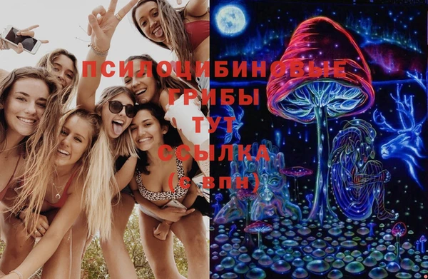 гидропоника Армянск