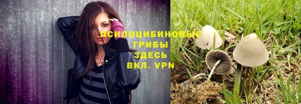 таблы Богородск